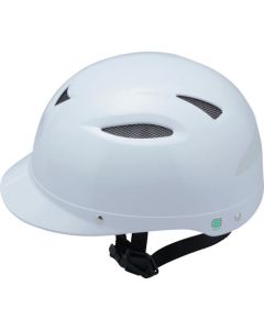 Bicycle helmet