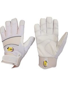 Glove for Protection against the Cold