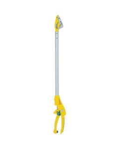 Pruning Shears