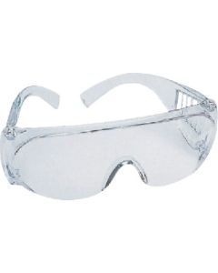 Goggles 1อัน
