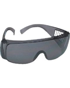 Goggles 1อัน