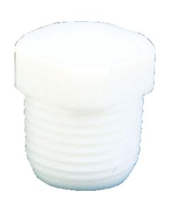 PTFE Plugs