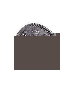 Anti Backlash Spur Gear