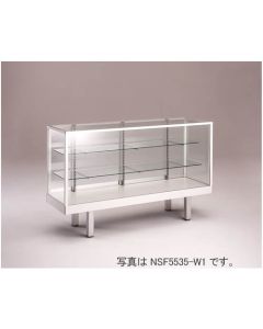 NSF5411-W1 1อัน