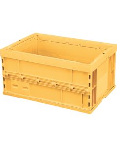 Foldable Container อันละ 1 อัน