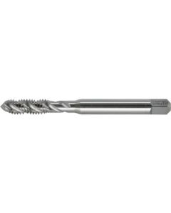 Spiral Fluted Tap 1เส้น