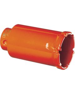 Hybrid Core Bit