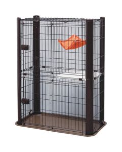 Cage 1อัน