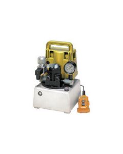 Economy Electric Pump 1อัน