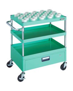 Phoenix Wagon