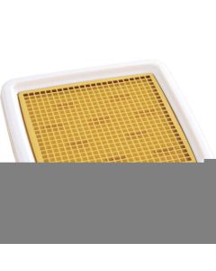 225982 ถาดฝึกสัตว์เลี้ยงกันรั่ว สำหรับพุดเดิ้ลทอย สีส้ม