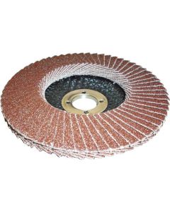 PGA-X Flap Disc (10 Set)