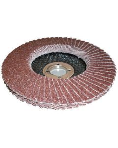 PGA-X Flap Disc (10 Set)