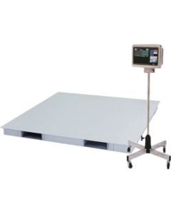 Digital Platform Scale 1อัน