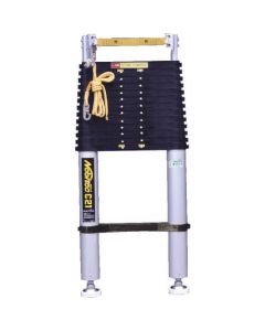 Telescopic Ladder