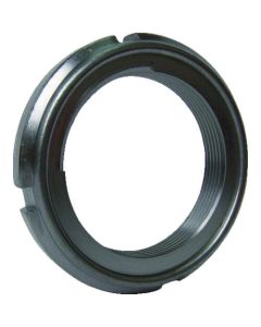 ถั่วพิต้า SS M60 x 2