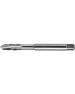Spiral Pointed Taps 1เส้น