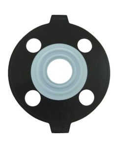 PTFE Gasket