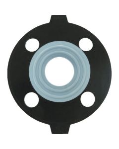 PTFE Gasket