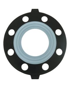 PTFE Gasket