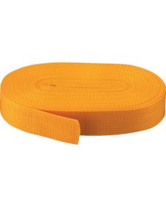PP Belt