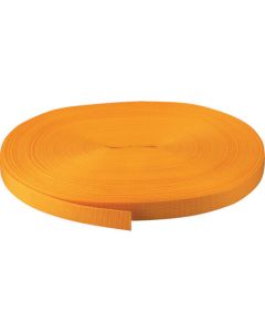 PP Belt