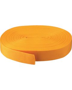 PP Belt 40mm Width