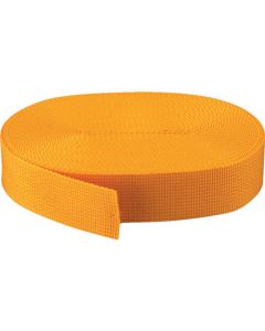 PP Belt