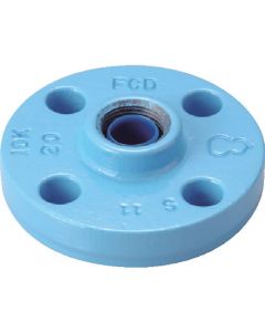 Malleable Iron Flange(Built-in Plastic Core Anticorrosive type)
