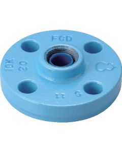 Malleable Iron Flange(Built-in Plastic Core Anticorrosive type)