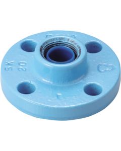 Built-in Plastic core anticorrosive type Malleable Iron pipe fittings 1อัน