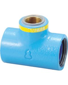 Built-in Plastic Core Anticorrosive type Malleable Iron Pipe Fittings