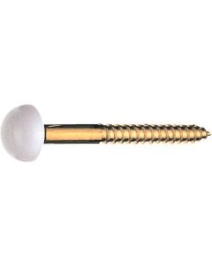 Dress Screw 1อัน