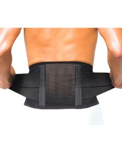 Pro Fitz ซัพพอร์ตเอว LL