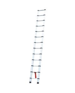 Telescopic Ladder