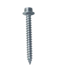 Point Screw Stainless Steel