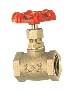 Globe Valve