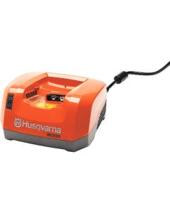 Battery charger 1อัน