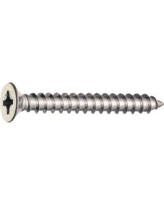 Screws 1อัน