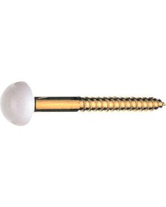Screws 1อัน