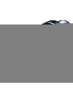 R825CAF23STUC1103A