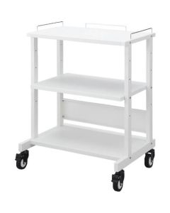 RAC-MULTCT3 1อัน