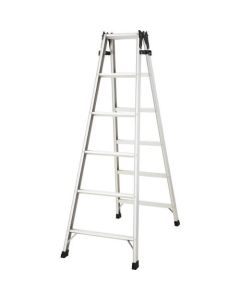 Aluminum 2-way Ladder 1อัน