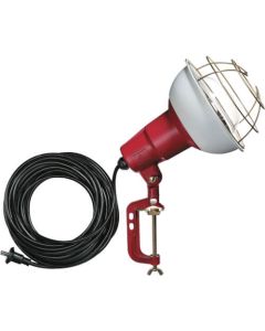 Work Light (Incandescent)