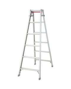 Aluminum 2-way Ladder RD