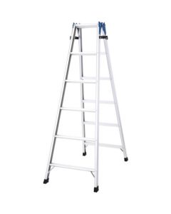 Aluminum 2-way Ladder RD