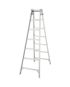 Aluminum 2-way Ladder RD