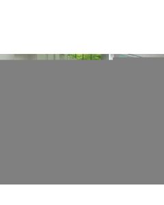 Panel 1แผ่น
