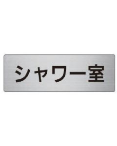 RS6-19 1แผ่น