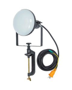 LED Work Light